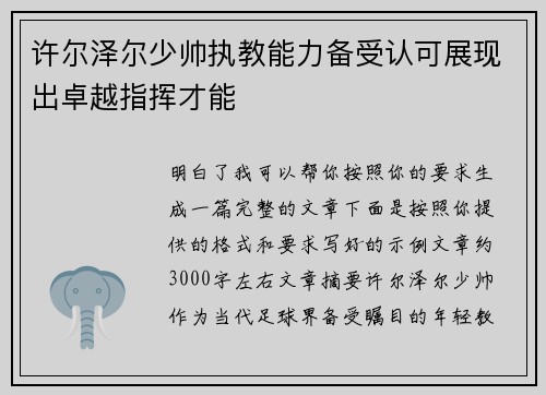 许尔泽尔少帅执教能力备受认可展现出卓越指挥才能